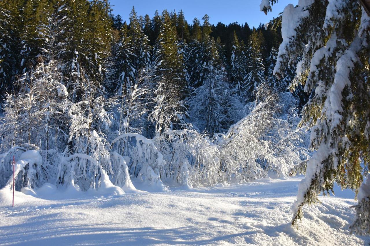 Chalet L'Armoy La Giettaz Exteriör bild