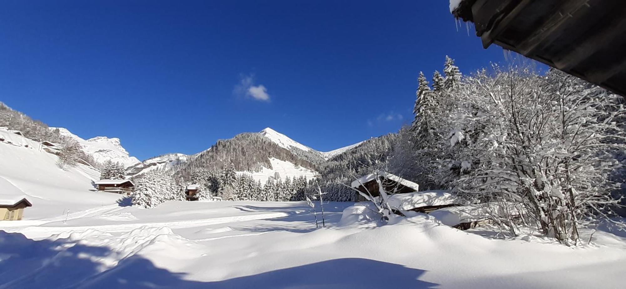 Chalet L'Armoy La Giettaz Exteriör bild