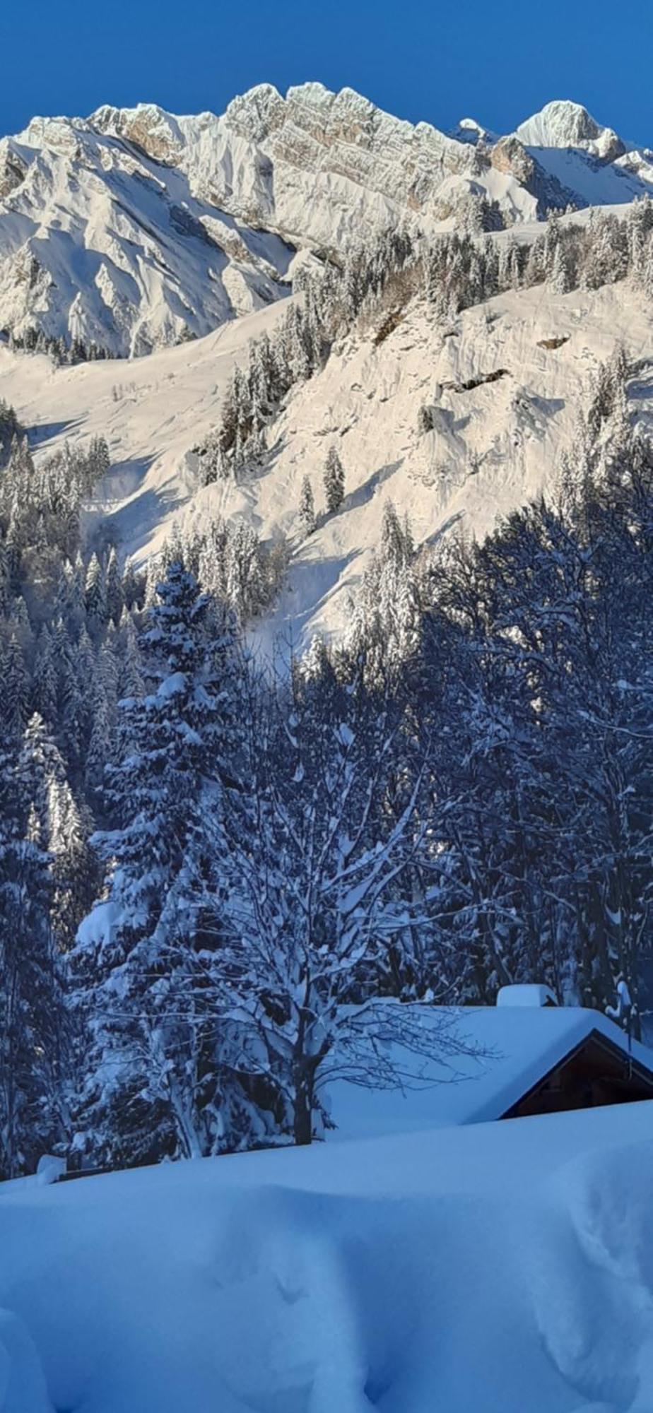 Chalet L'Armoy La Giettaz Exteriör bild